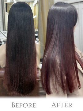 アデル 青山(Adele) 髪質改善/縮毛矯正/髪質改善縮毛矯正/青山