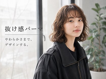 ビハインドザカーテン(BEHIND THE CURTAIN)の写真
