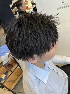 アプリコ(APREKO) 2wayマッシュ