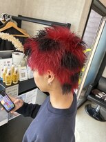 トリコ(ToricO) デザインカラー ダブルカラー チェリーレッド ワインレッド