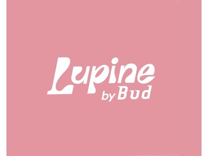 ルピネバイバド(Lupine by bud)の写真