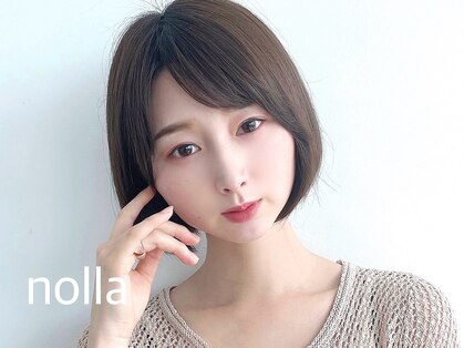 ノーラ(nolla)の写真