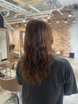 スペックホルダー(Spec Holder) アッシュブラウン09.07ハイライトカラー