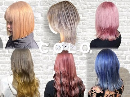 コロ(COLO)の写真