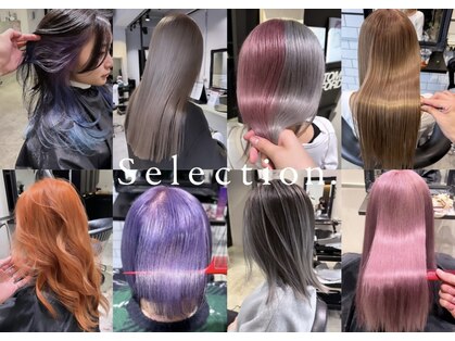 セレクション(Selection.)の写真