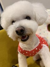 イディール(i:deal) 杏仁