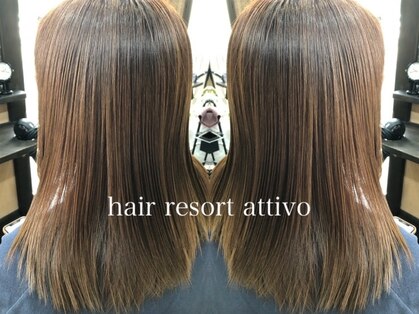 アティーボ ATTIVOの写真
