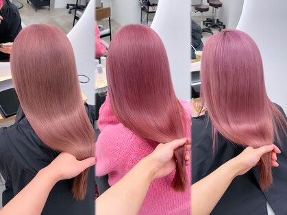 シラフ(SHIRAF)の写真