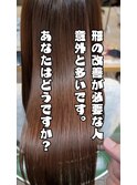 ダメージで髪がまとまらない 傷みだけが原因か?