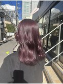 ブリーチなしダブルカラー チェリーピンクラベンダー 忠願寺