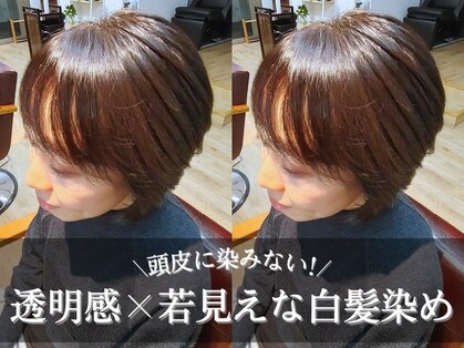 レーベ(Lowe)の写真