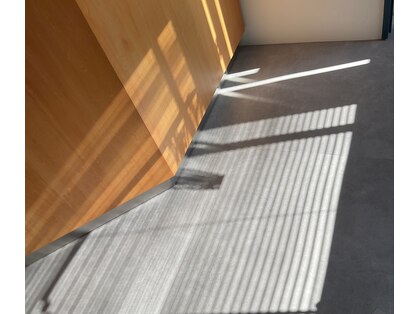 ノード(NODO)の写真