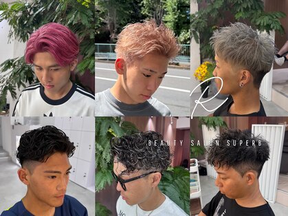 スパーブ(SUPERB)の写真