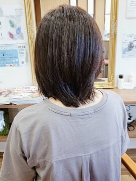 フィカス(Ficus) ウルフミディアム