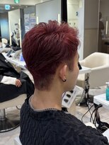 ケンジ 平塚 アネッタ(KENJE annetta) 【ダブルカラー】艶髪ワインレッド