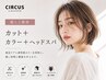 【癒しと艶感】カット＋カラー＋ヘッドスパ 25850→20680～