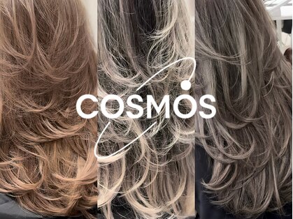 コスモス 町田(COSMOS)の写真