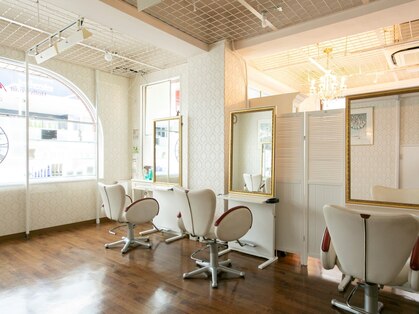 ハリウッドスタートアップ(Hollywood Startup)の写真