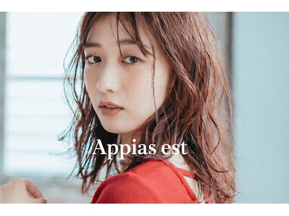 アッピアスエスト(Appias est)の写真