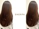 シェルパ(SHERPA)の写真