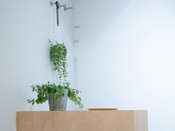 ナプリーフ(napleaf)の写真/【豪徳寺駅】1席だけの完全個室サロン。ゆっくりとした時間をお過ごしください。当日予約OK◎