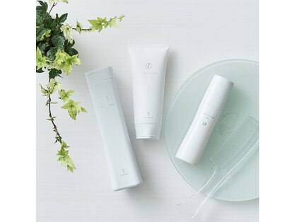 ダリア(DAHLIA)の写真