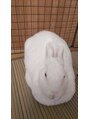 アンバール(amberl) ベットのうさぎのおもちです。ふわふわして可愛いです。