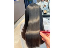 ペッツ プロフェッショナル(PETZ PROFESSIONAL)