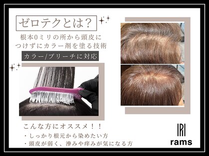 ラムス (rams)の写真