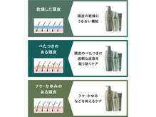 頭皮状態に合わせたヘッドスパメニュー。