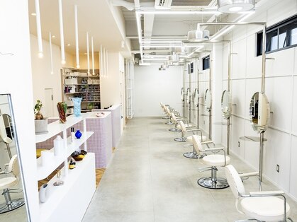 チーカ(chica)の写真