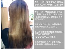 ヘアアンドメイクシュビア(SuBiR)の雰囲気（お家にいるような感覚で、お過ごしください。）