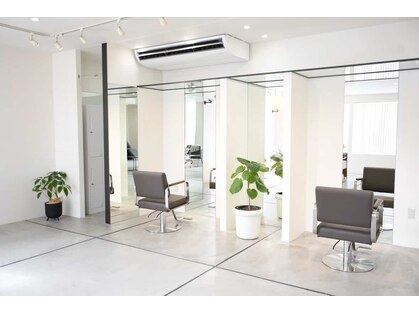 プレマ(Prema)の写真