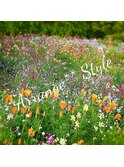 Lino**arrange style