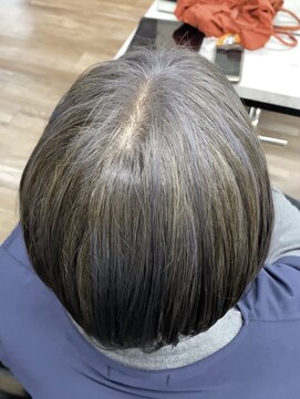 ヴィフ 大船(VIF) 白髪ぼかしハイライト/ショートヘア/グレーアッシュ/大船/大船駅