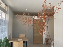 リッシュプラス(Riche plus)