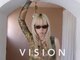 ヴィジョン(VISION)の写真