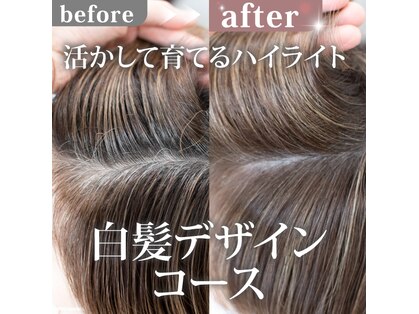ルルン(Lu-Lun)の写真