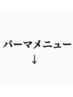 ここから下は【パーマメニュー】