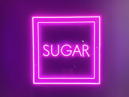 シュガー(SUGAR)の写真