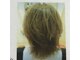 トップレディ(TOP LADY)の写真