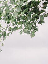 リーフ 王寺店(LEAF≠) 白髪ぼかしカラー