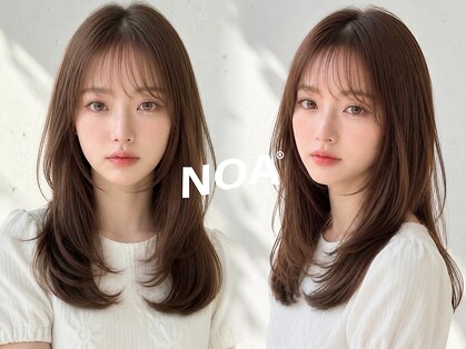 ノア(NOA)の写真