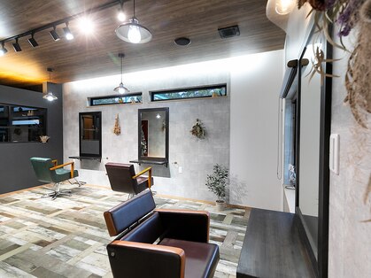 ロペ(Lope)の写真