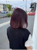 パープルカラー