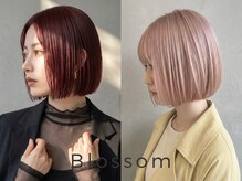 ブロッサム 朝霞台店(Blossom)