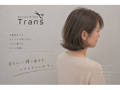 トランス(Trans)の写真