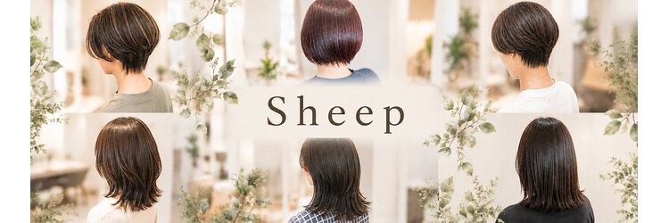 シープ(Sheep)のサロンヘッダー