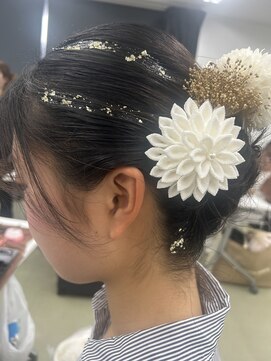 アンフィ 矢向(Anphi) 1-38 ヘアセット