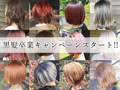 ナンバーエイト(number eight)の写真